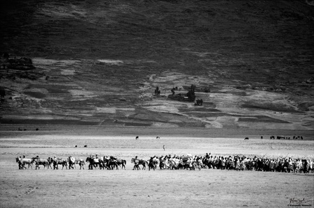 Apocalyptic-Ethiopia