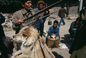 Guizhou China