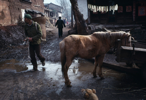Guizhou China