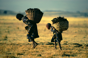 Amhara Ethiopia