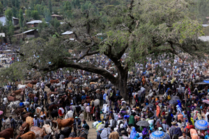 Amhara Ethiopia