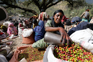 Amhara Ethiopia