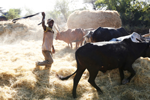 Amhara Ethiopia
