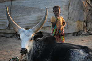 Asayta Ethiopia