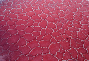 Lake Magadi Kenya