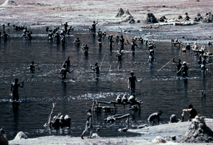 Chaw Bet Ethiopia