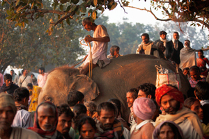 Sonpur India