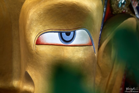 Ladakh 2