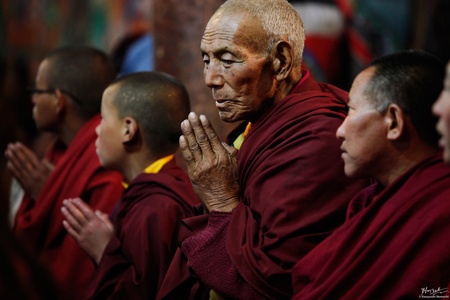 Ladakh 2