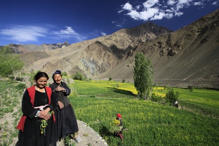 Ladakh 2