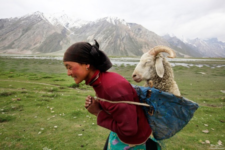 Ladakh 2
