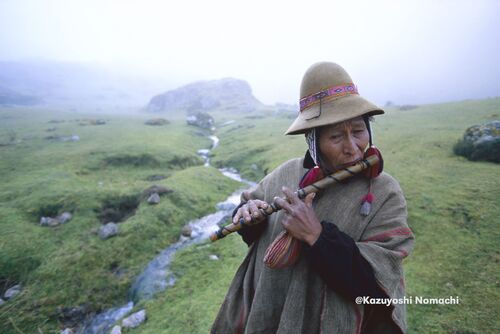 Andes Life