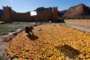 Ar-Rachidia Morocco