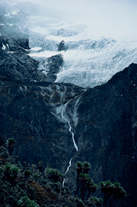 Ruwenzori Uganda