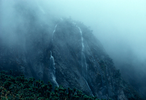 Ruwenzori Uganda