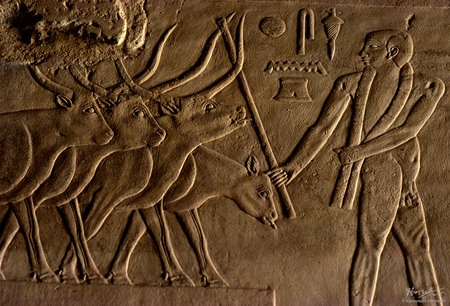 Luxor Egypt