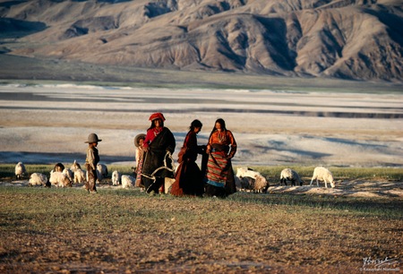Tibetan Nomad
