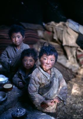 Tibetan Nomad