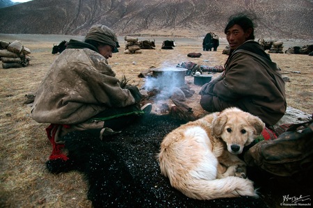Tibetan Nomad