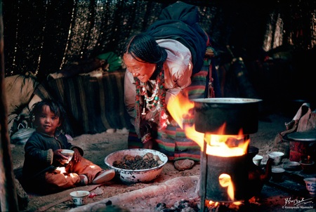 Tibetan Nomad