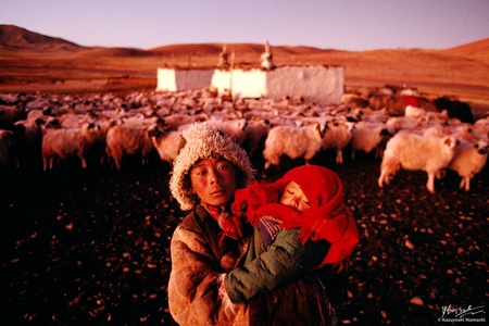 Tibetan Nomad