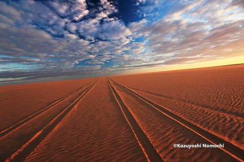 Sahara Horizon