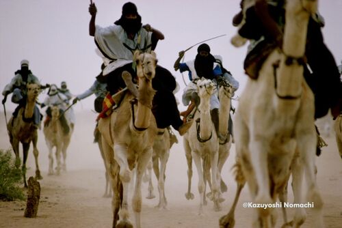Tuareg