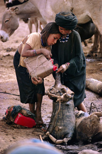 Abalak Niger