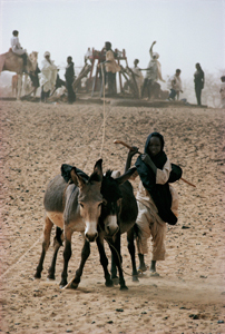 Abalak Niger