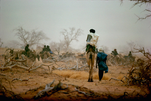 Abalak Niger