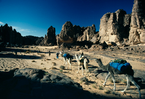 Tassili N Ajjer Algeria