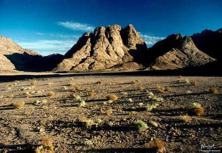 Plain of El Raha